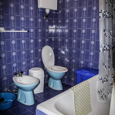 Holiday Dalmatian House Mm 度假居